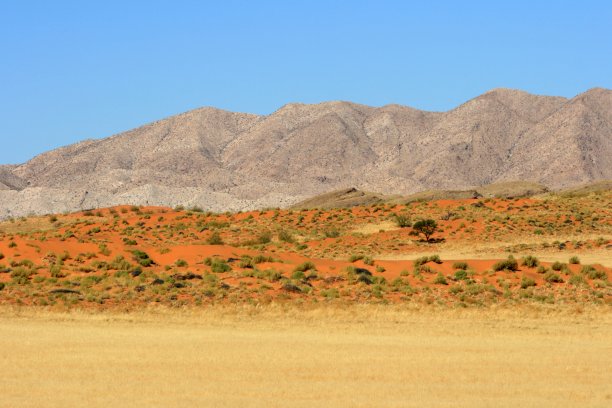 红色的沙丘，黄色的干草和落基山脉。纳米布沙漠兰德。纳米比亚图片下载