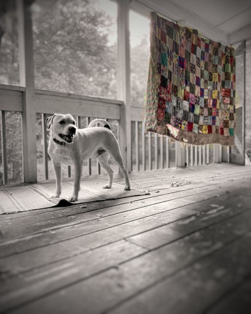 南部贫困图片下载