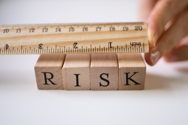 风险度量和战略评估图片下载