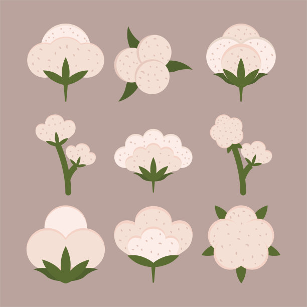 棉花套图片下载