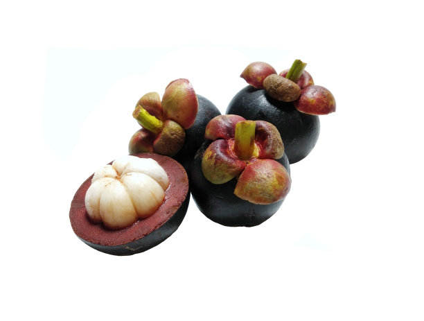 白色背景上的山竹图片下载