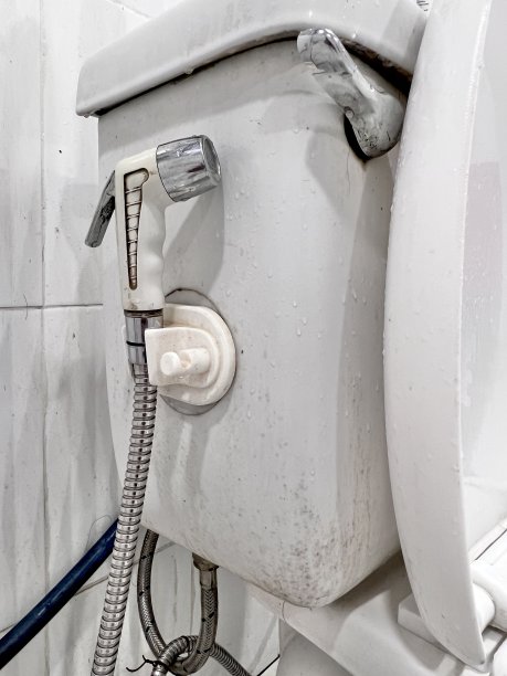 马桶上有污迹图片下载