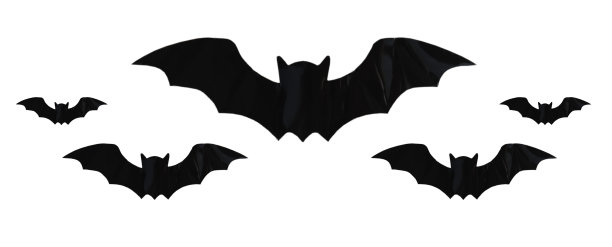 孤立的黑蝙蝠图片下载