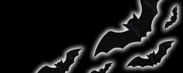 发光飞黑蝙蝠图片下载