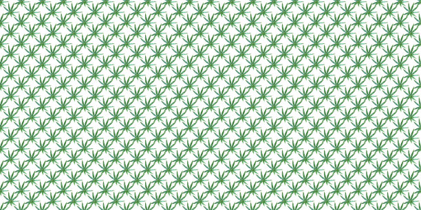 绿色三叶在孤立的白色背景上的无缝模式图片下载