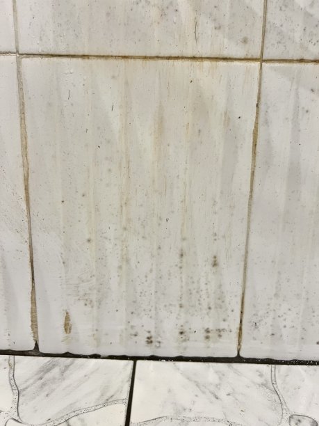 浴室里的瓷砖墙上有污迹。图片下载