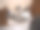 猫妈妈和她的孩子们图片下载
