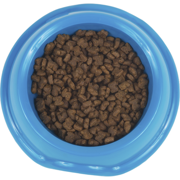 蓝色狗盆里的狗粮图片下载