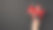 第一人称俯视照片的女性手拿黑色礼盒生动的红色蝴蝶结在闪亮的亮片与空白的孤立的黑色背景图片下载