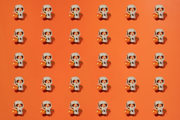 图案的人类头骨与玫瑰股票照片图片下载