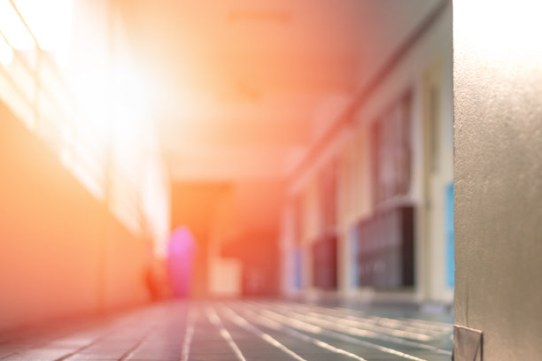 教育背景的概念。教室前面的走廊里，一群年轻的小学生正在把东西装进储物柜里，准备学期结束时离开学校。图片下载