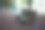旧沙发和扶手椅立在院子里的黄叶上图片下载