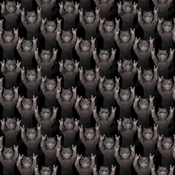 猫在黑色上无缝地欢呼图片下载
