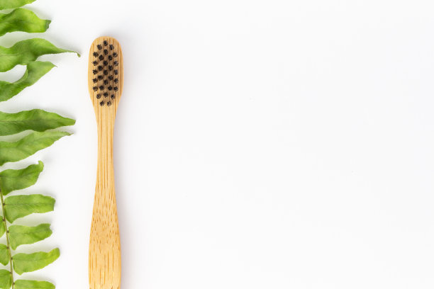 竹叶牙刷，白色背景和复制空间。图片下载