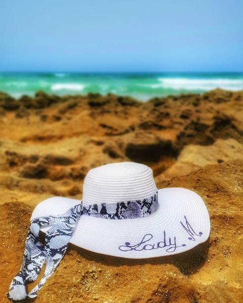 夫人了图片下载