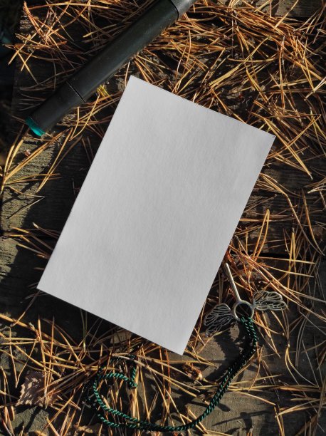 用于明信片或问候的秋季模型。图片下载