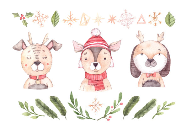 圣诞快乐设计元素。手绘水彩画插图-狗与花卉元素，金色雪花和雪。冬天的背景。完美的邀请，贺卡，海报，横幅，打印图片下载