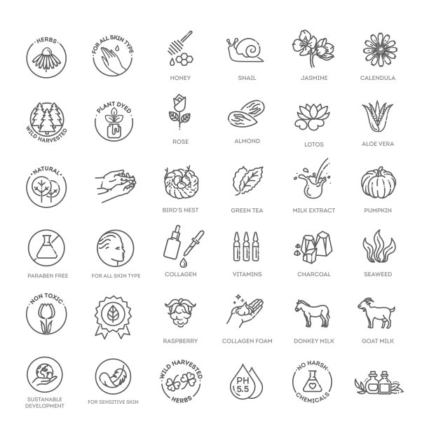 化妆品成分。矢量图标的草药，水果，蔬菜，花，油。薄型包装标志图片下载