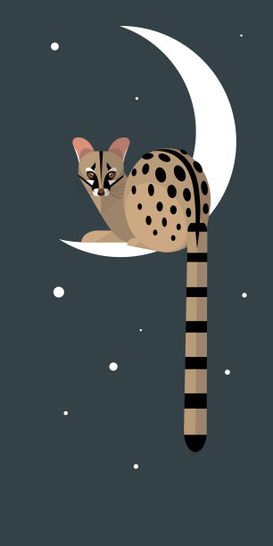 月球麝猫图片下载