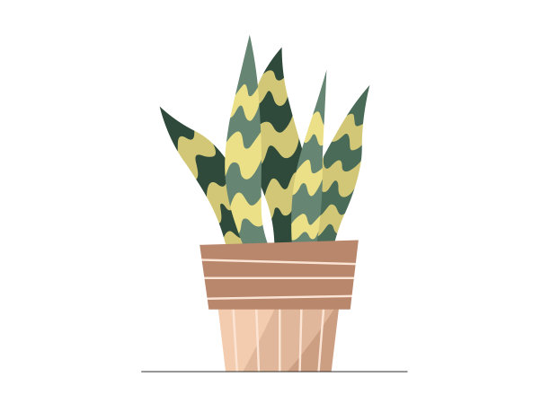花盆插图中扁平的蛇植物。矢量蛇植物孤立的颜色图标的白色背景。图片下载