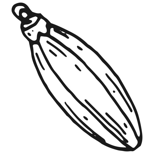 圣诞树装饰涂鸦图片下载