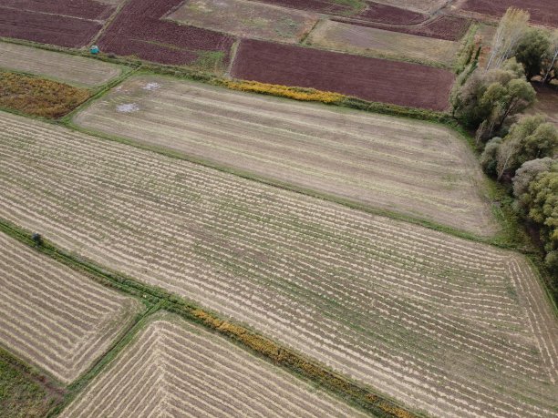 定期修剪的草地图片下载