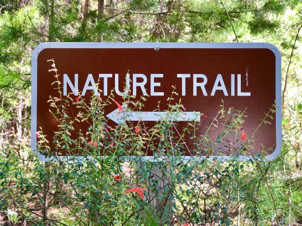 通往自然景观的小径标志图片下载