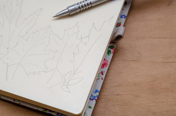 秋叶的铅笔轮廓。在一个开放的手绘草图图片下载