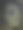 结网的蜘蛛图片下载