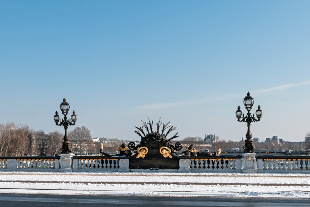 亚历山大三世的雪桥。巴黎天气异常图片下载