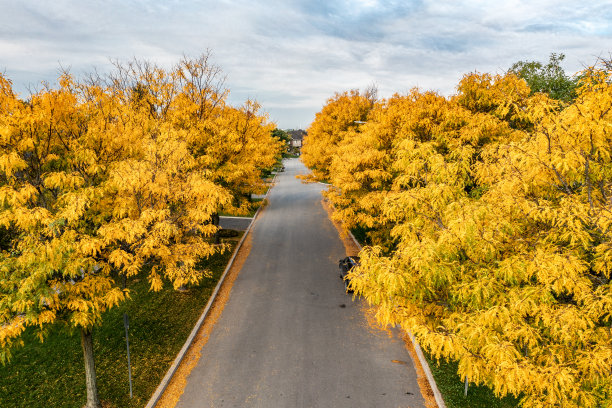 住宅分区鸟瞰图图片下载