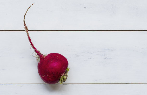 新鲜的萝卜图片下载