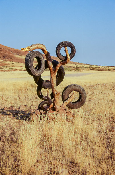 沙漠中的地标:树上的轮胎。图片下载