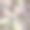 潮湿的海石背景。无缝模式。卵石纹理。宏观的特写镜头。图片下载
