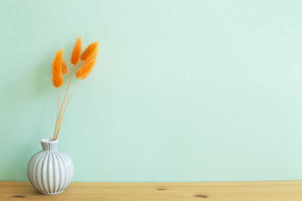 花瓶里的桔兔尾草干花放在木桌上。薄荷墙背景。本空间图片下载