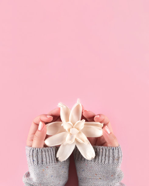 手在毛衣与裸指甲和白色的花朵在粉红色的背景图片下载