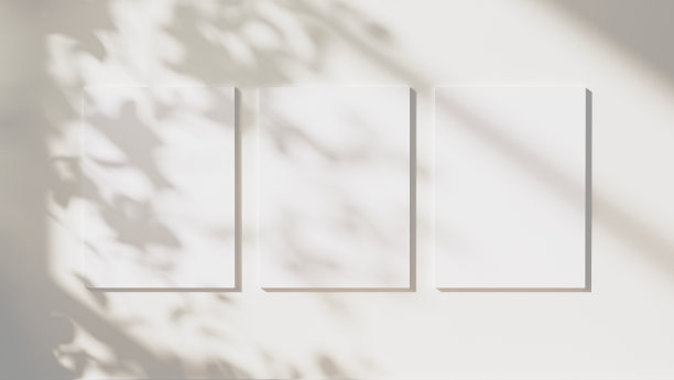 空的海报模拟树叶阴影和阳光在中性的白色墙壁背景，3d插图图片下载