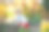 小男孩在蔬菜园里种植种子和草莓、西红柿幼苗。快乐学龄前儿童一起做春季活动。孩子在花园里学习和帮忙。图片下载