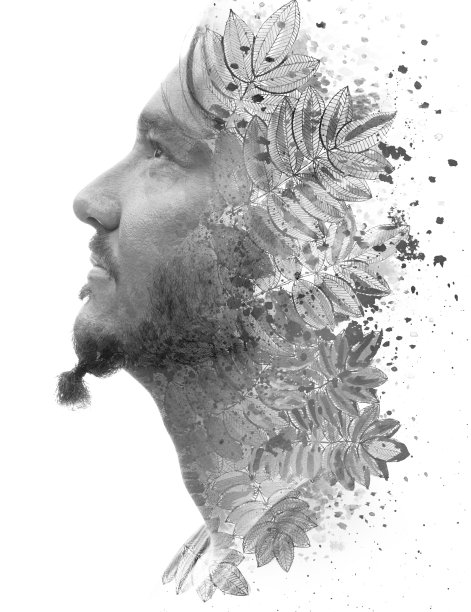 Paintography。一个时髦男人的肖像加上一幅植物画图片下载