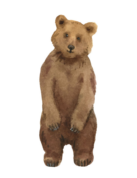 水彩矢量插图与熊孤立在一个白色的背景。任何目的都是伟大的设计。图片下载
