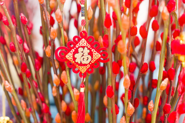 吉祥结挂在花上是中国新年的问候，汉字意味着新年的美好祝福图片下载