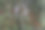 有万圣节装饰的联排别墅图片下载