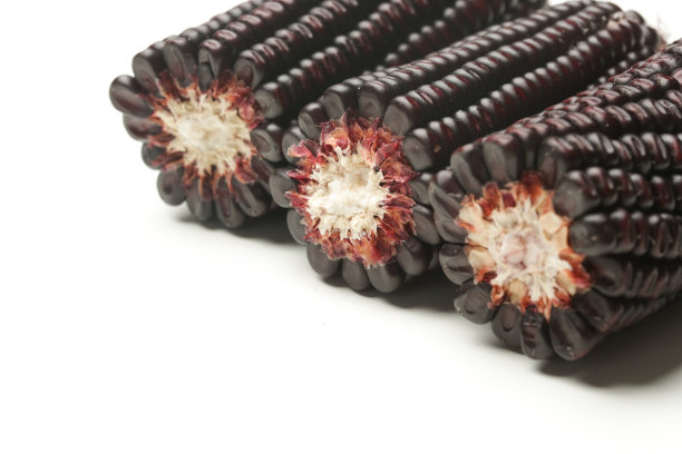 在白色背景上分离的阿兹特克黑玉米。图片下载