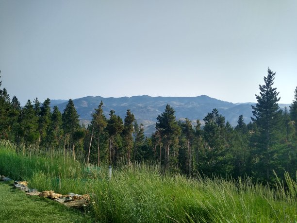 蓝天下的田野风景图片下载