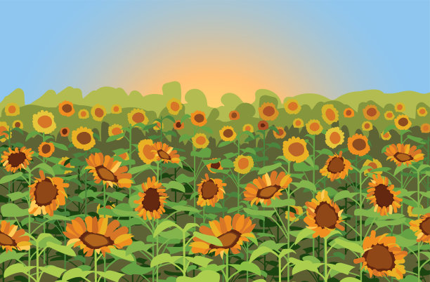 字段与向日葵。自然景观图片下载