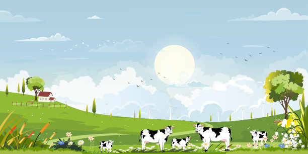 春天绿色的田野景观以山，蓝天和白云为背景，全景宁静的乡村自然在春天与绿色的草地。卡通矢量插图的春天和夏天旗帜图片下载