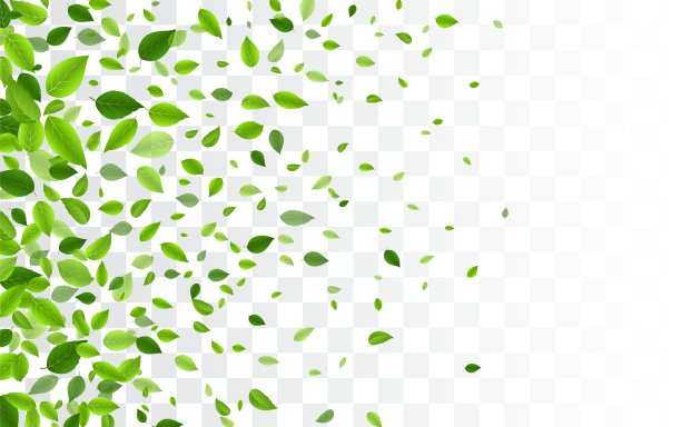透明背景上飘落的绿树叶图片下载