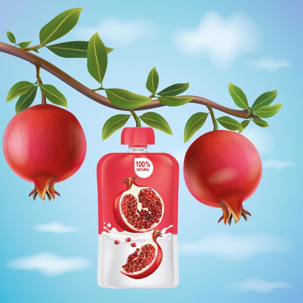 结果的石榴树的树枝形成一个石榴包。图片下载