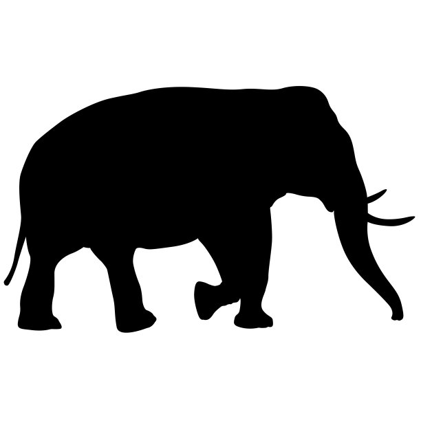 剪影大非洲象在白色背景图片下载
