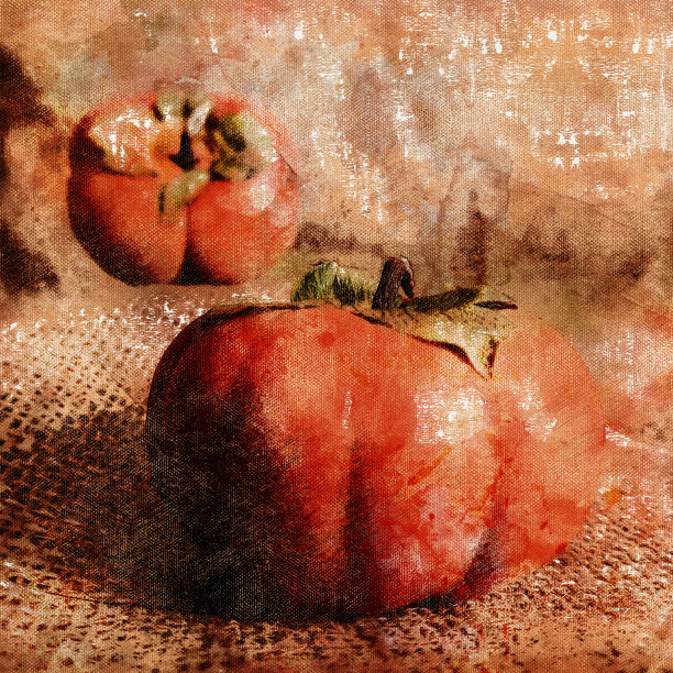 成熟的柿子。麻布上的两个红色水果。图片下载